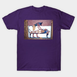 Tombs of the Nobles, Egypt T-Shirt